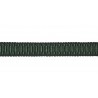 Galon 16 mm Atlanta collection GALONS BRAIDS & TAPES de Houlès coloris Sapin 31163-9700