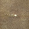 Skin of Galuchat leather beige colors