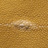 Skin of Galuchat leather yellow colors