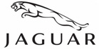 Products for Jaguar