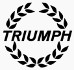 logo_triumph.JPG