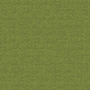  - Citron vert 9702