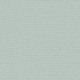 - Silver 5035
