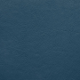  - Blue 100
