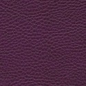  - F5071180 violette