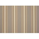  - Chicago beige D311