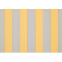  - Sienne yellow D303