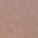 - TAUPE 258/67