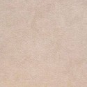  - ROSEAU 258/10
