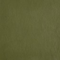  - Vert militaire 9700